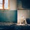 Paco S QgxHQamnkrk Unsplash(1)