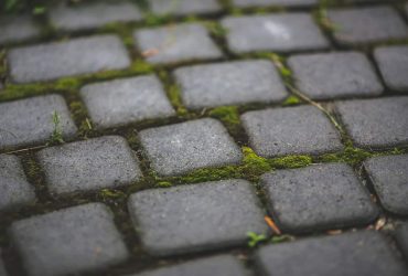 Paving Stones With Moss 6083