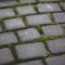 Paving Stones With Moss 6083
