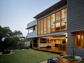 Corymbia 12