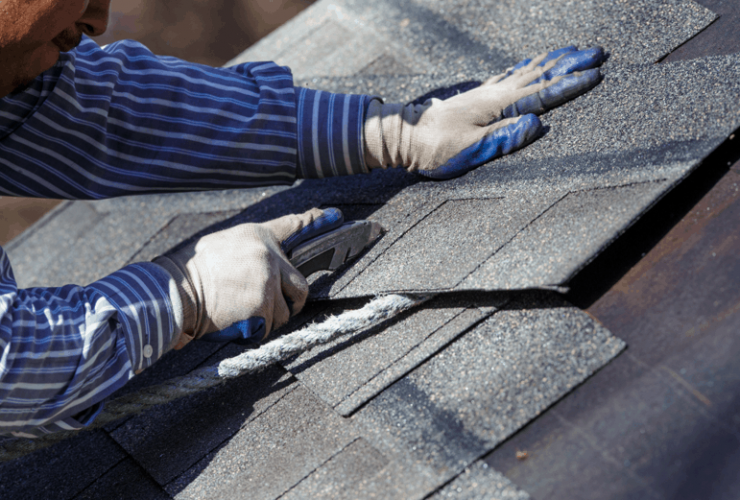 New Roof