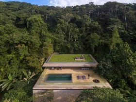 Jungle House 10