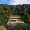Jungle House 10