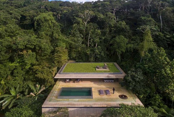 Jungle House 10