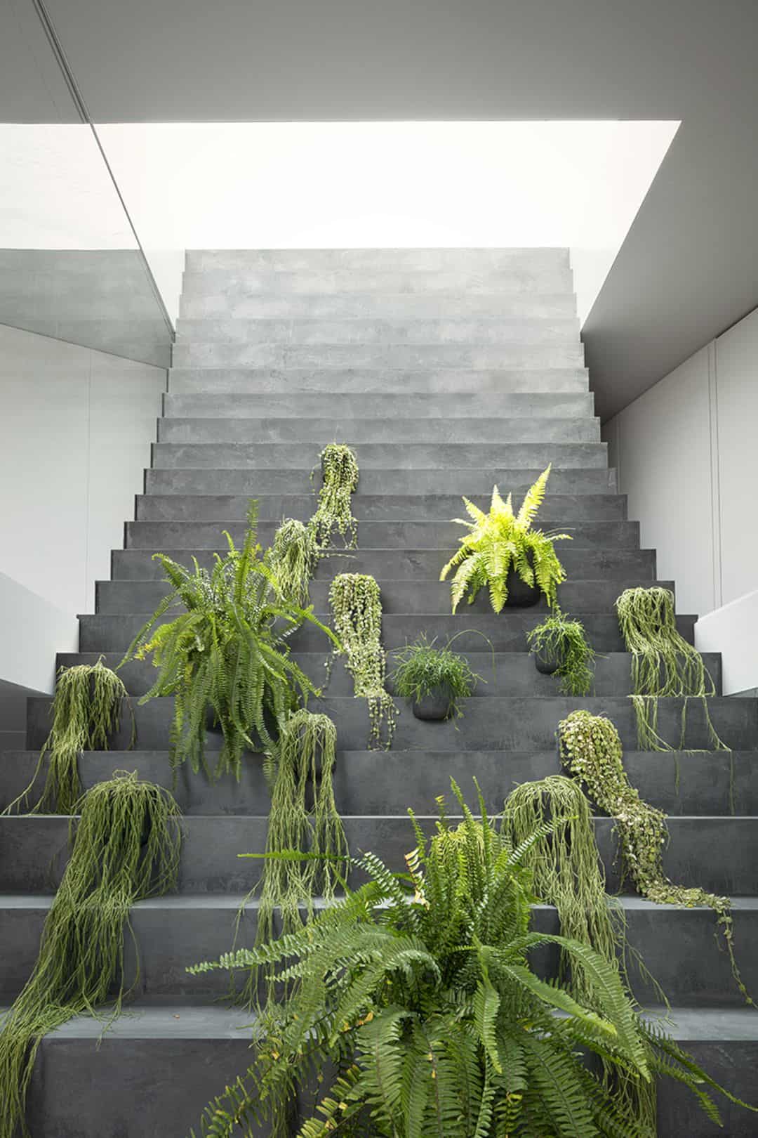 Stairway House 51