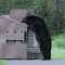 Black Bear 1972219 1280