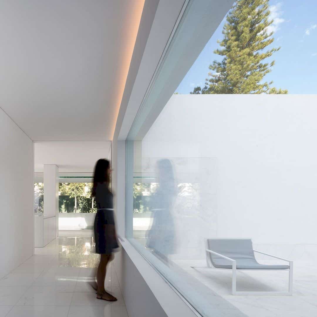 House Between The Pine Forest 28