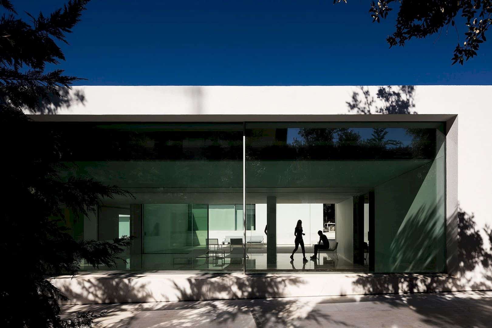 House Between The Pine Forest 33