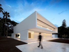 House Between The Pine Forest 36
