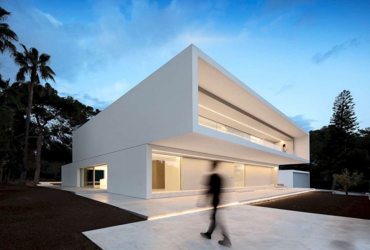 House Between The Pine Forest 36
