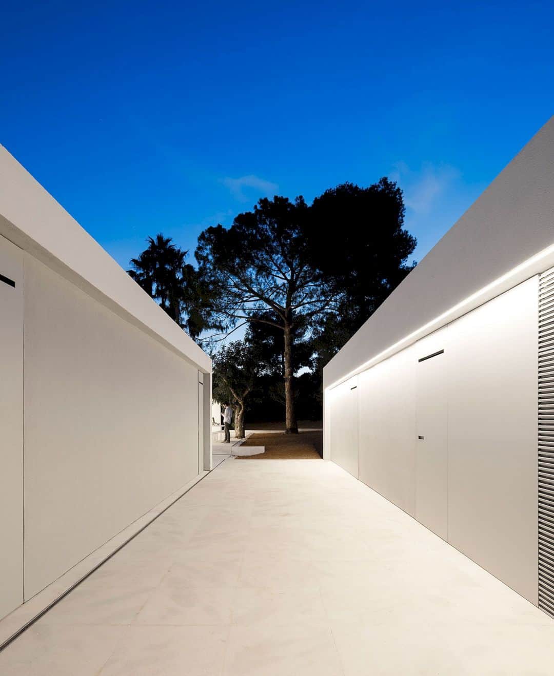 House Between The Pine Forest 40