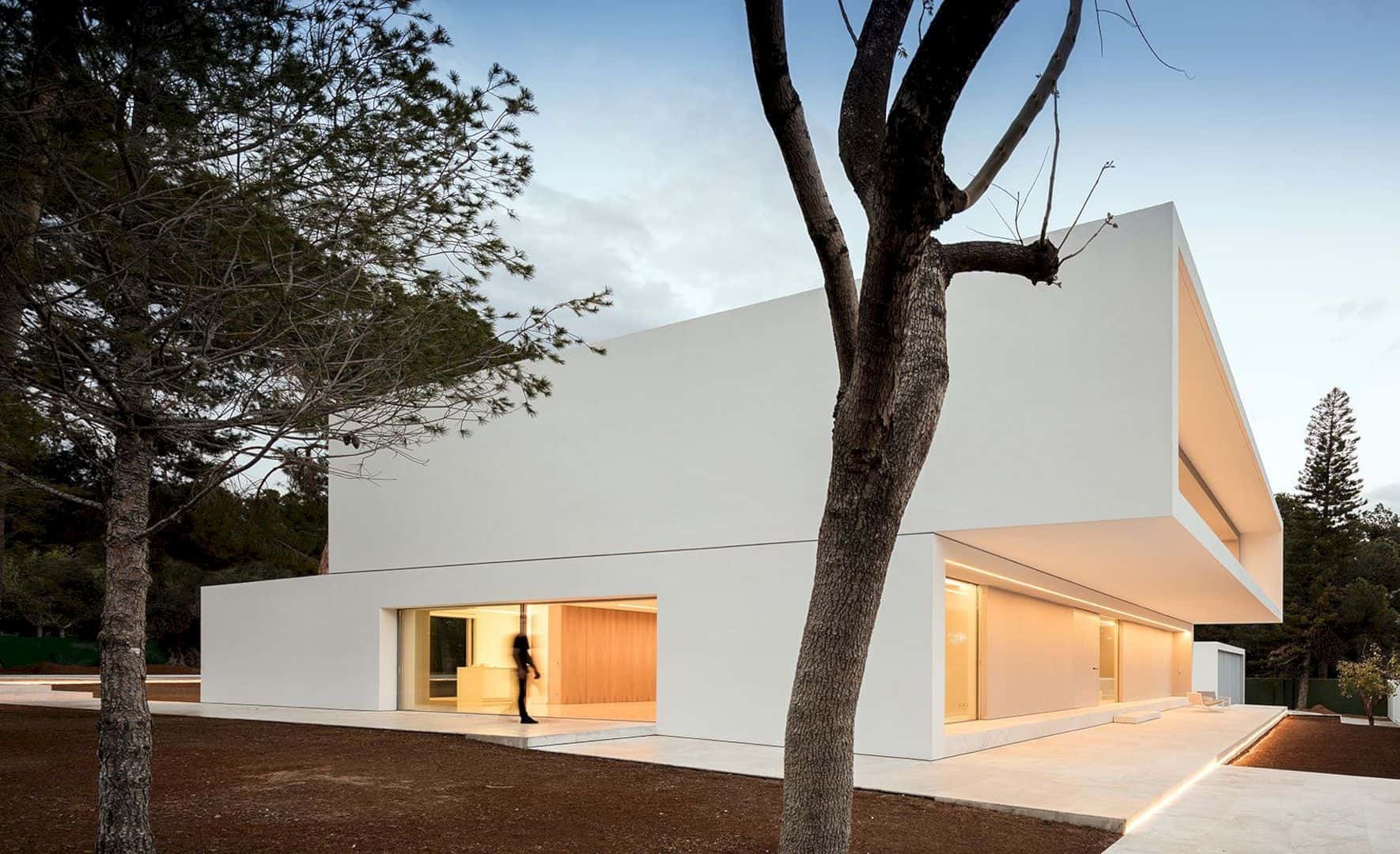 House Between The Pine Forest 42