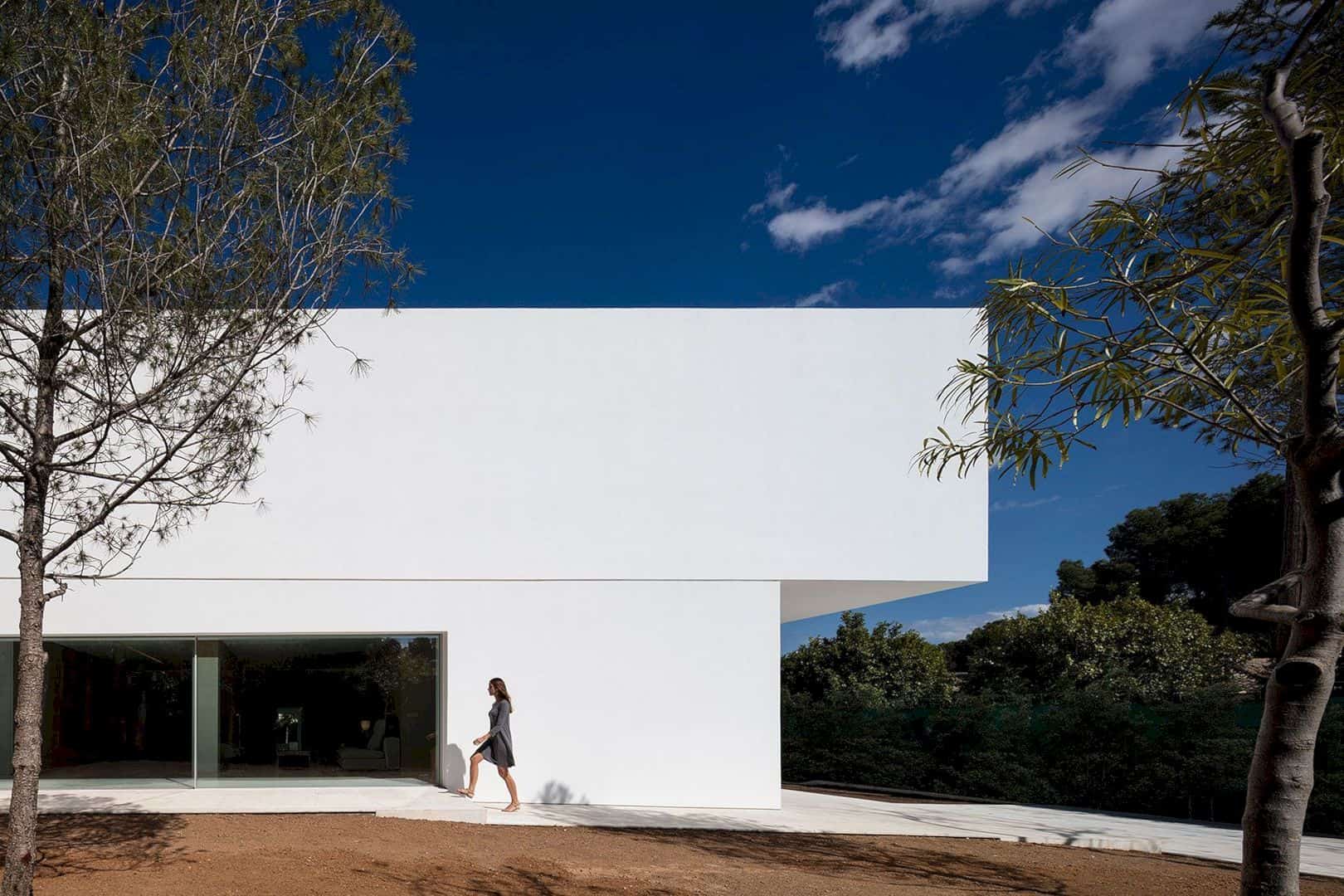 House Between The Pine Forest 44