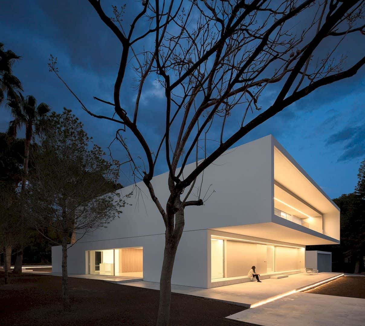 House Between The Pine Forest 45