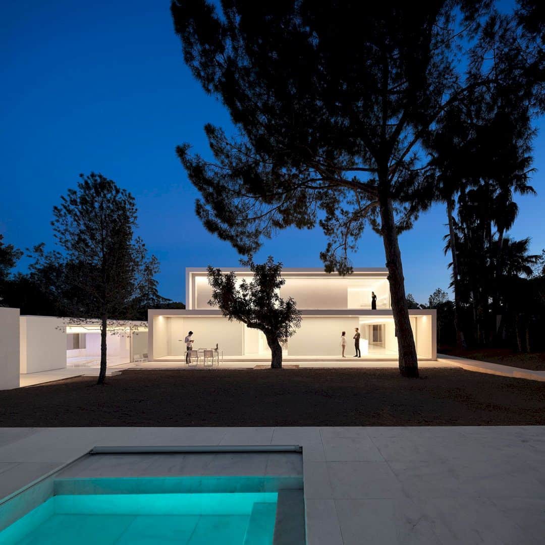 House Between The Pine Forest 46