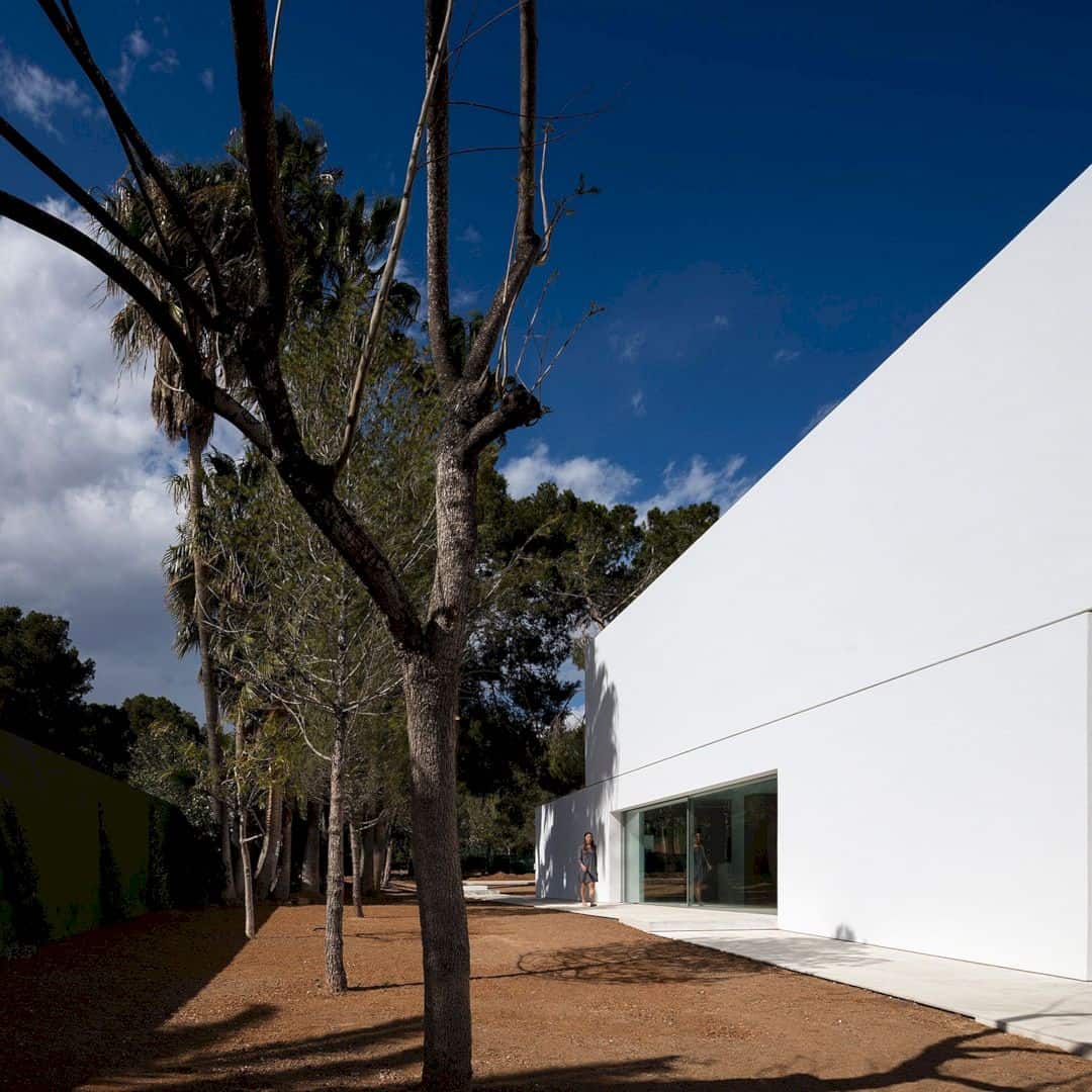 House Between The Pine Forest 48