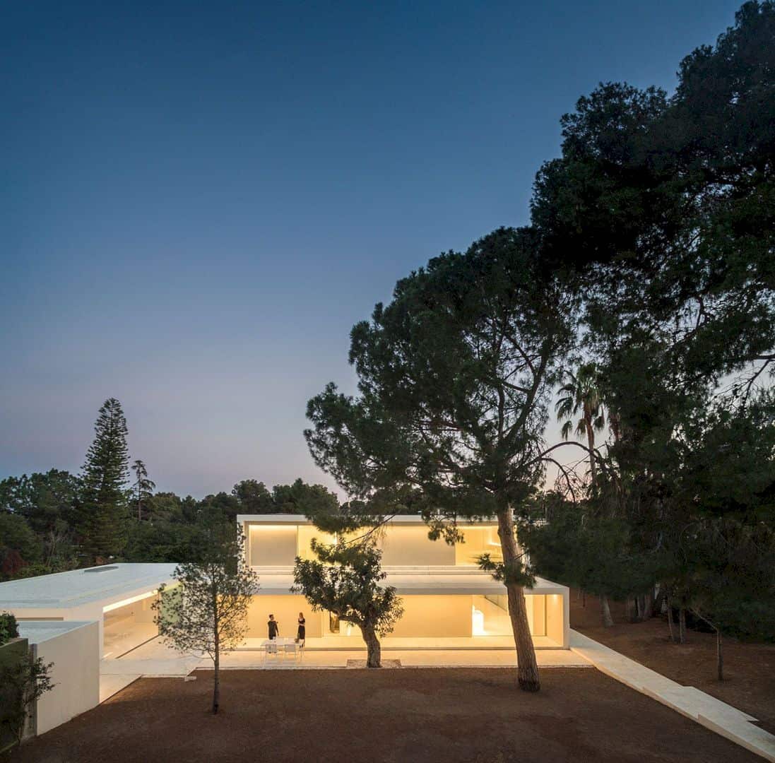 House Between The Pine Forest 49