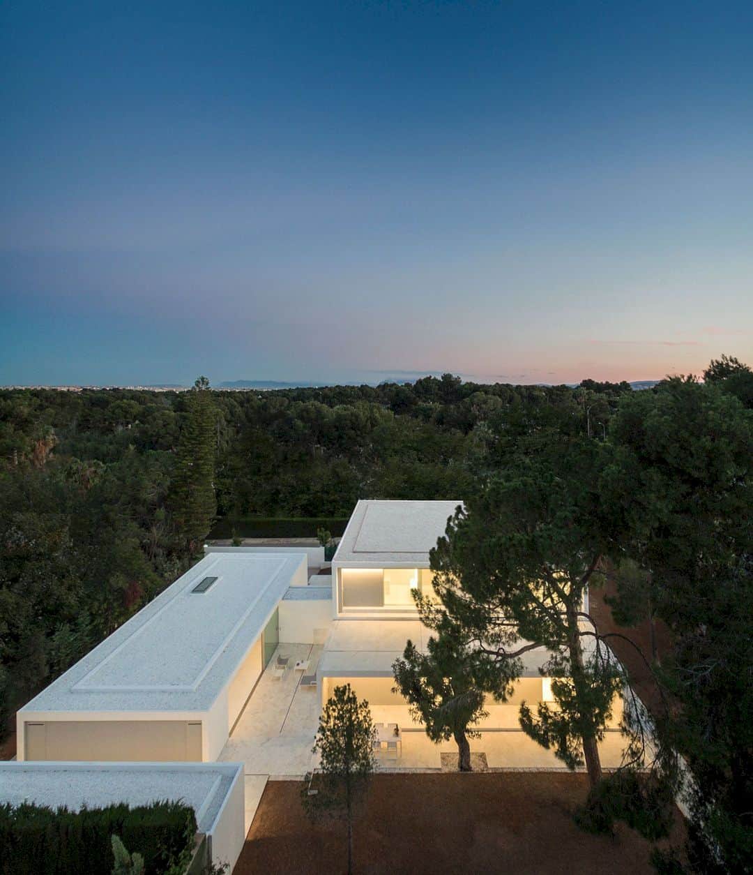 House Between The Pine Forest 51