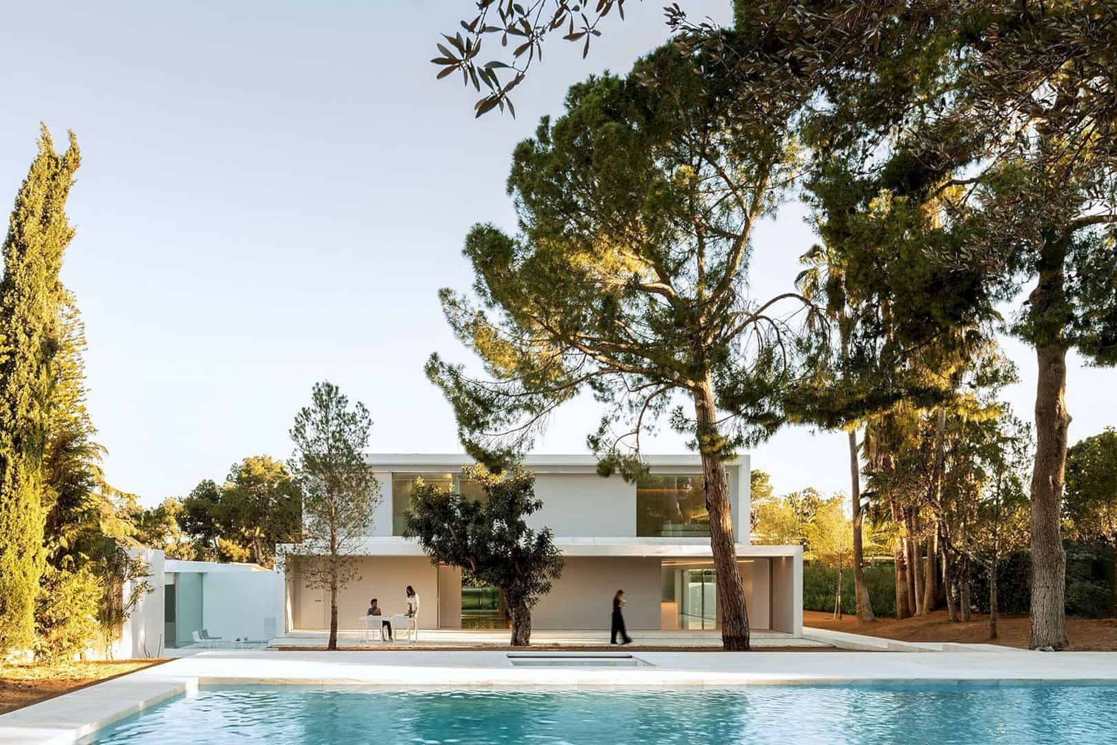 House Between The Pine Forest 52