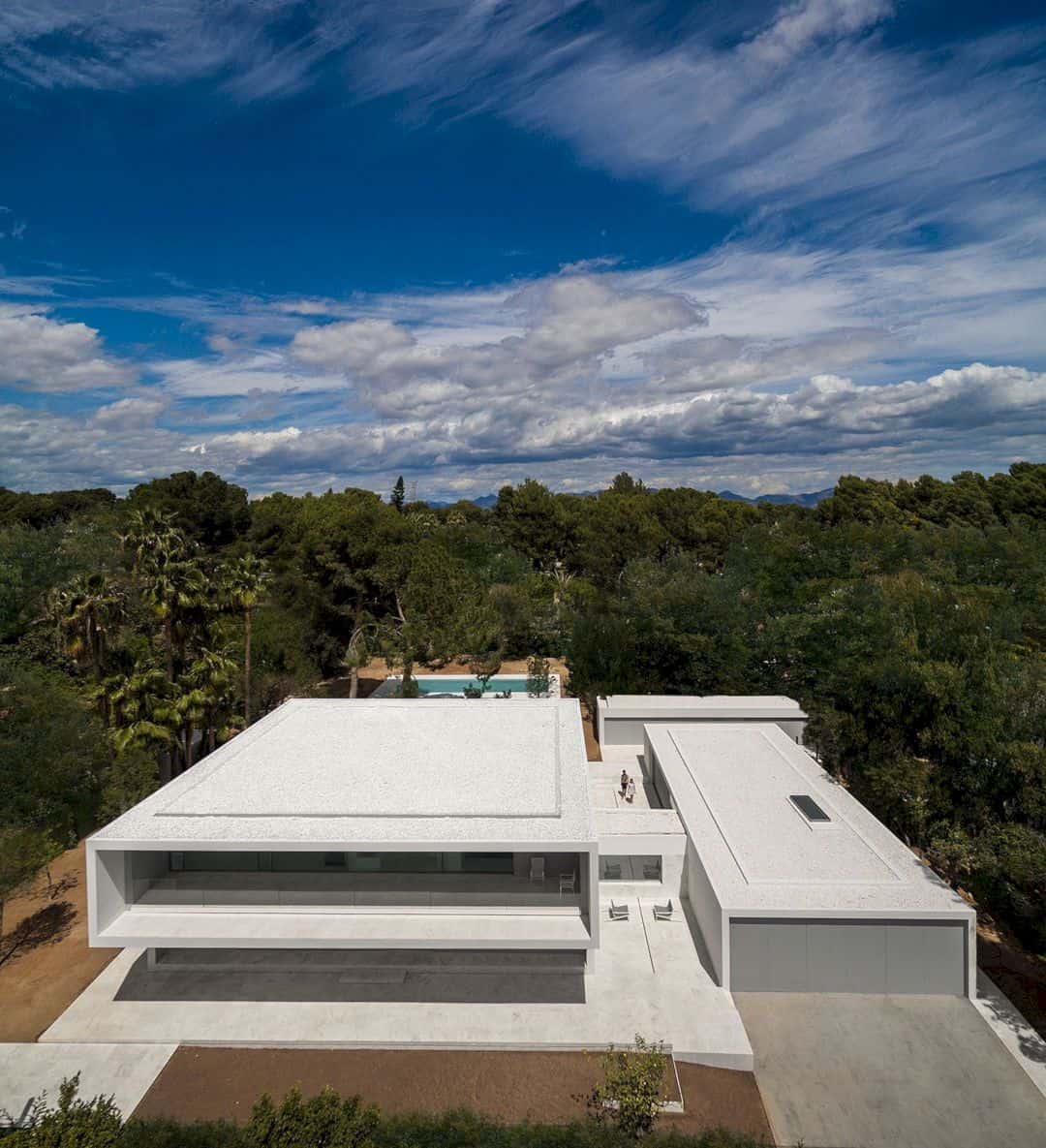 House Between The Pine Forest 53