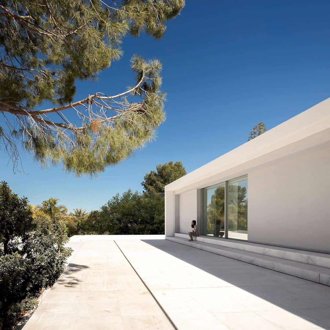 House Between The Pine Forest 54