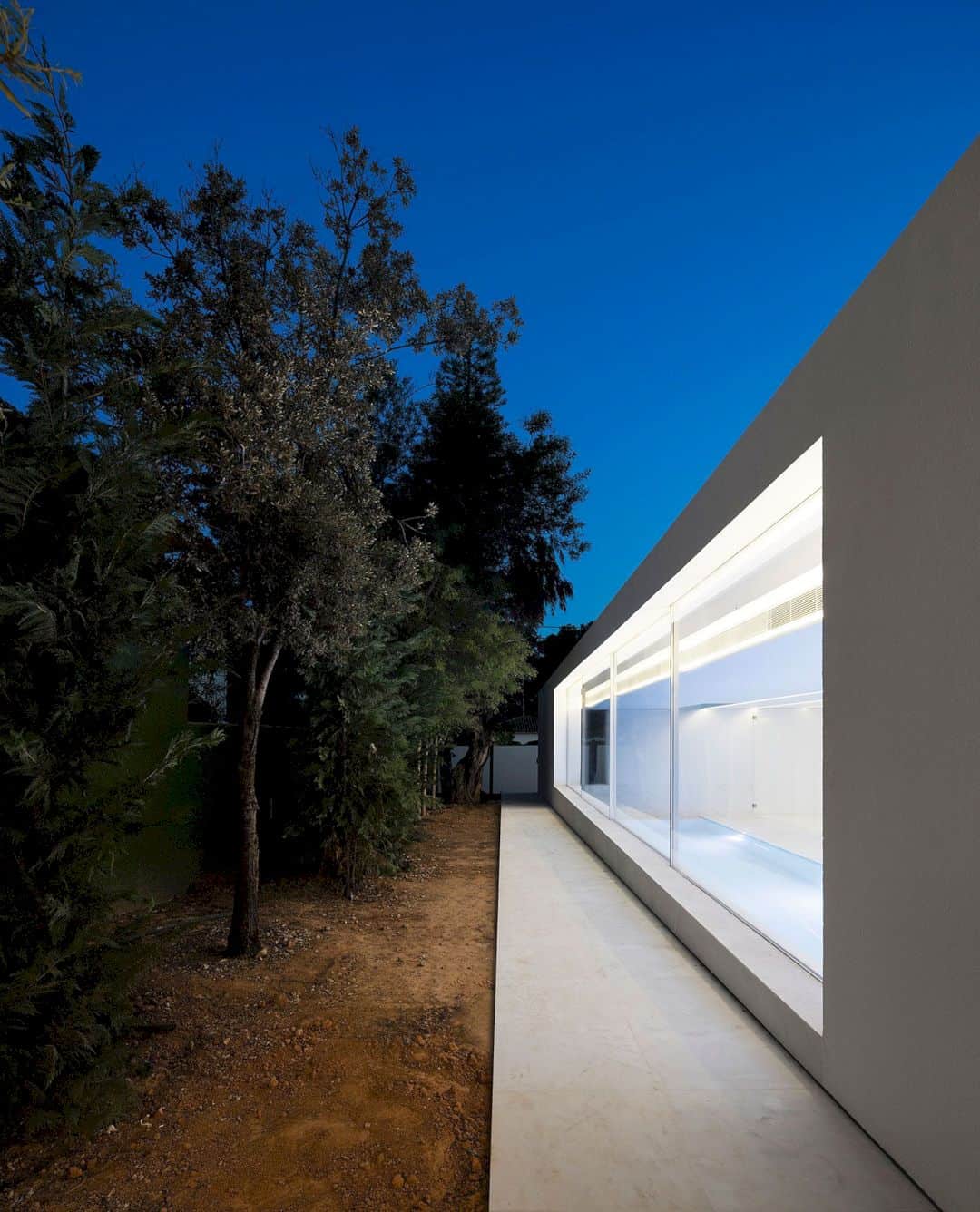 House Between The Pine Forest 56