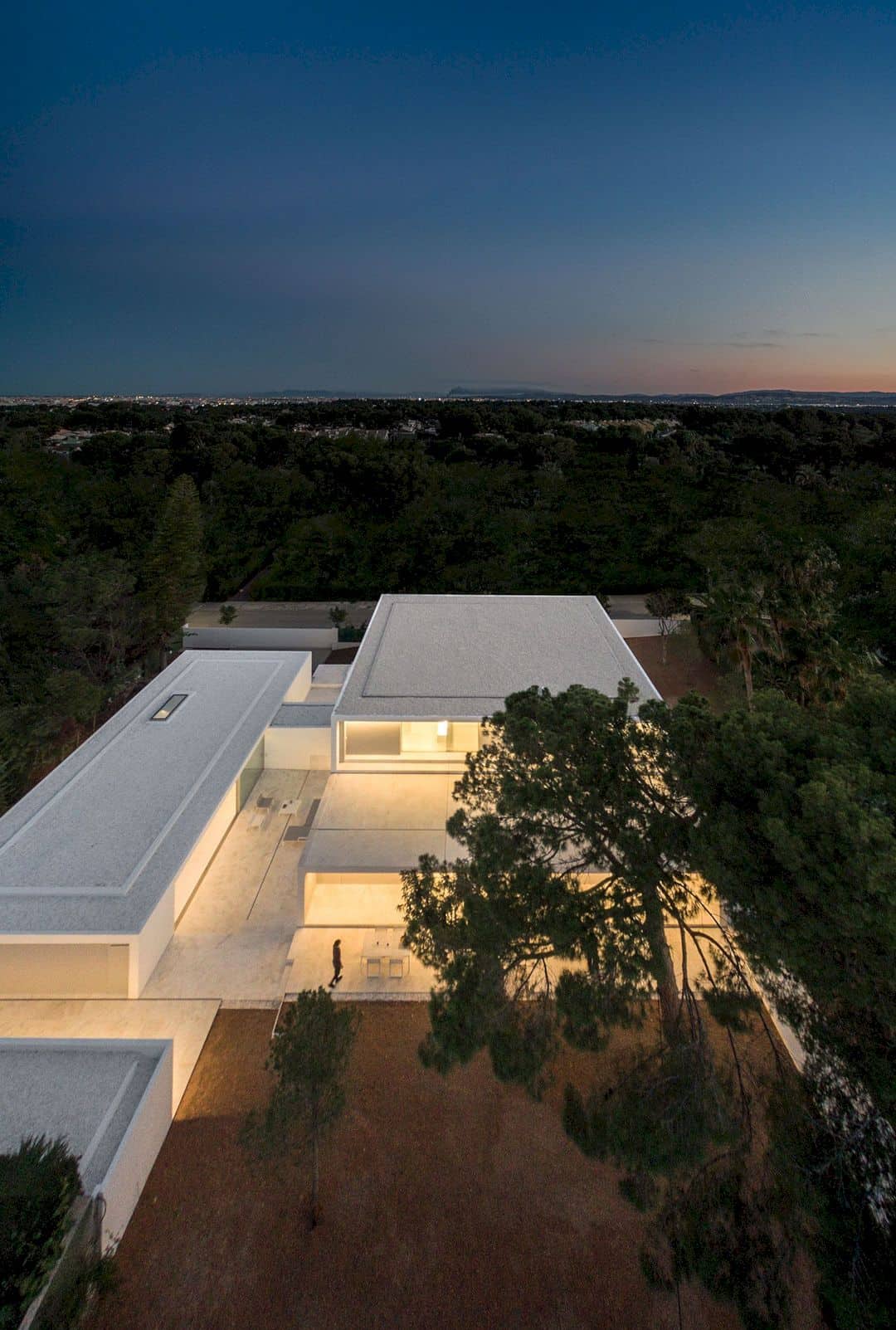 House Between The Pine Forest 58