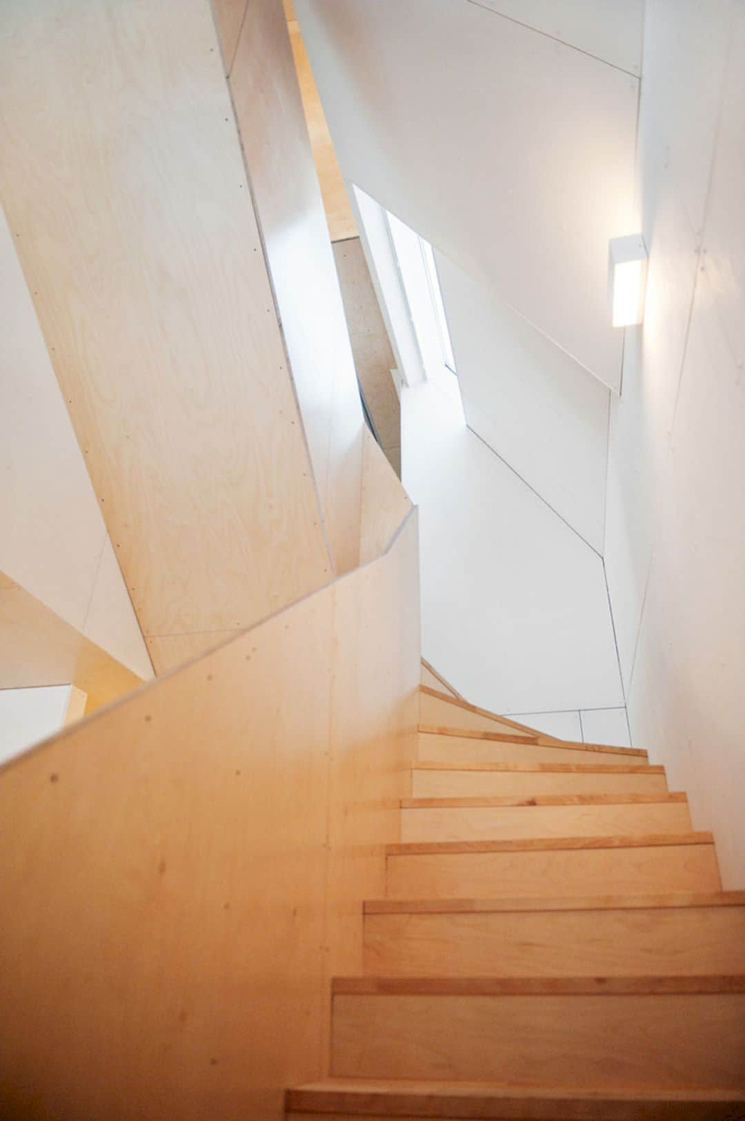 The Polite House 3