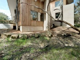 Autonomous House Jan Juc 8