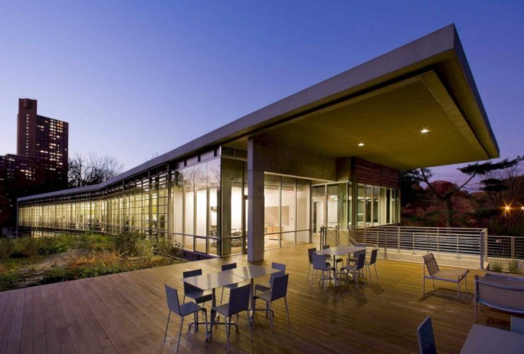 Center For Global Conservation 5