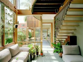 Green House 6
