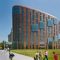 OZW VU University Amsterdam 9