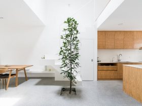 Jose House 6