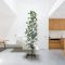 Jose House 6