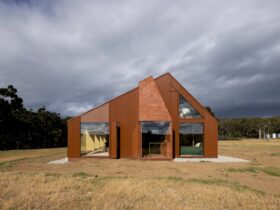 Coopworth Tasmania 15