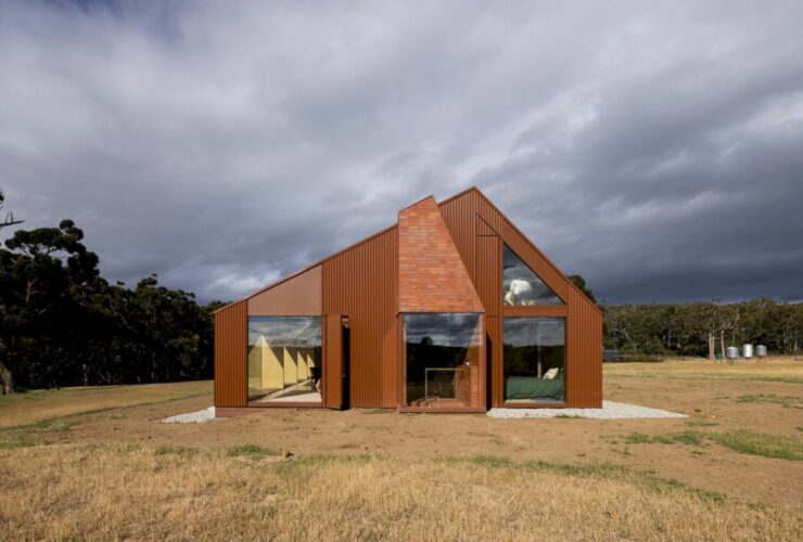 Coopworth Tasmania 15