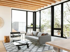 The Lookout 12