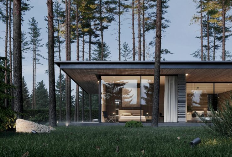 A House For Two In Repino 9