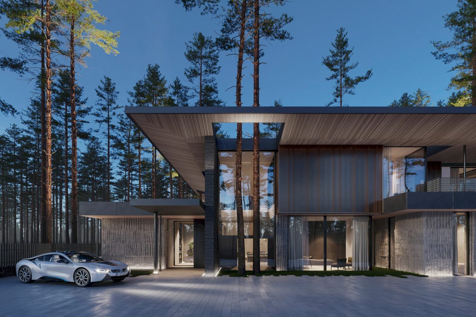House In Repino 5