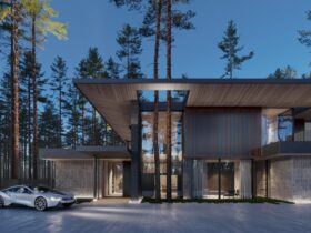 House In Repino 5