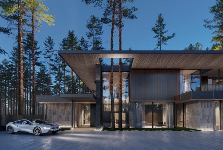 House In Repino 5