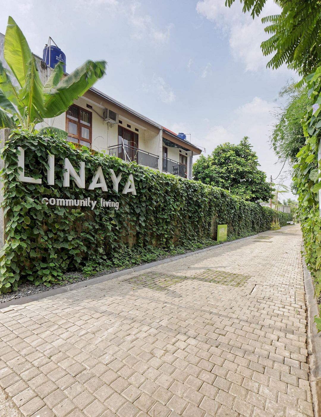 Linaya 33