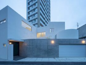 White Court 2