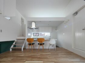 White Skip 8