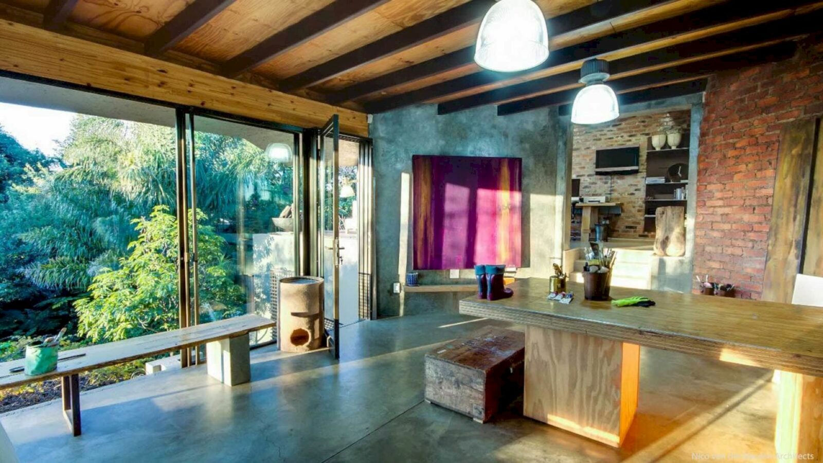 House Fern 25