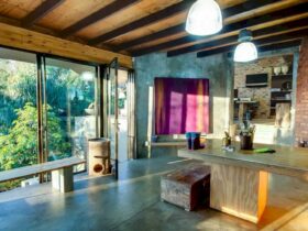 House Fern 25
