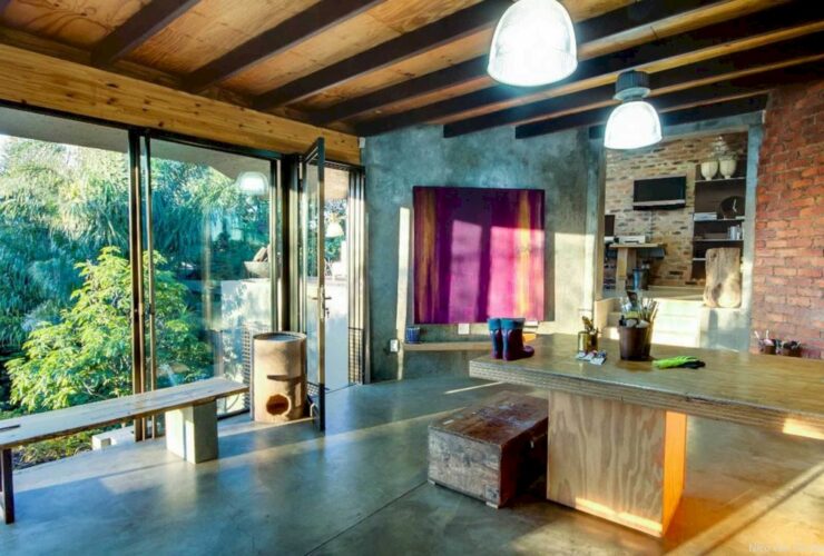 House Fern 25
