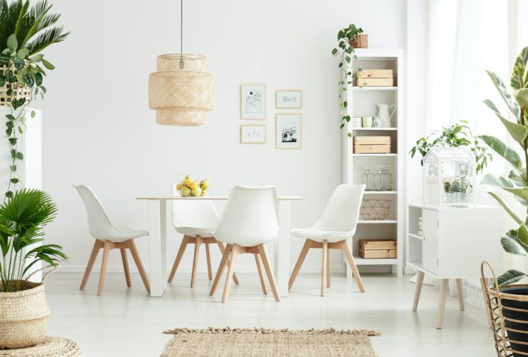 Plants in white dining room