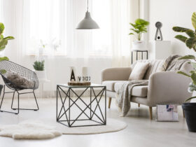 Modern Living Room With Ficus