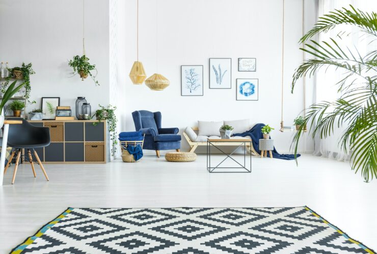 Open living room with plants